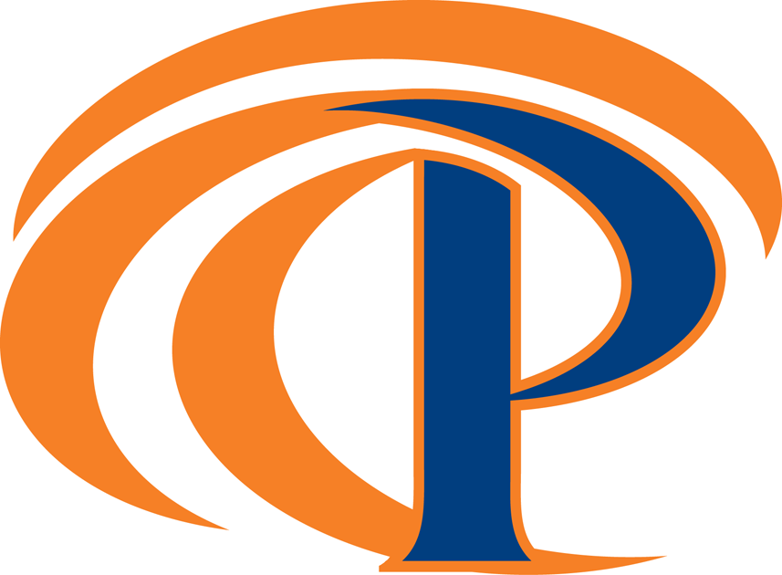 Pepperdine Waves 2011-Pres Secondary Logo iron on transfers for fabric